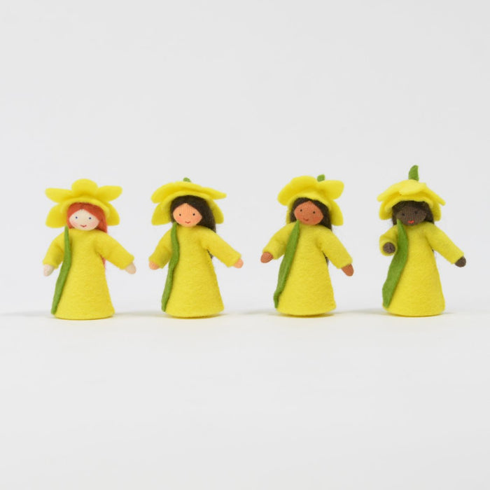 Ambrosius Flower Fairy Daffodil 2022