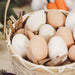 Erzi Eggs