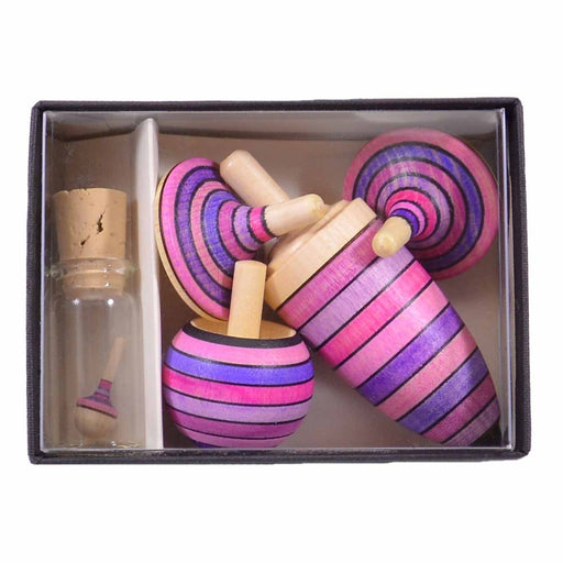 Mader Spinning Top Learning Set