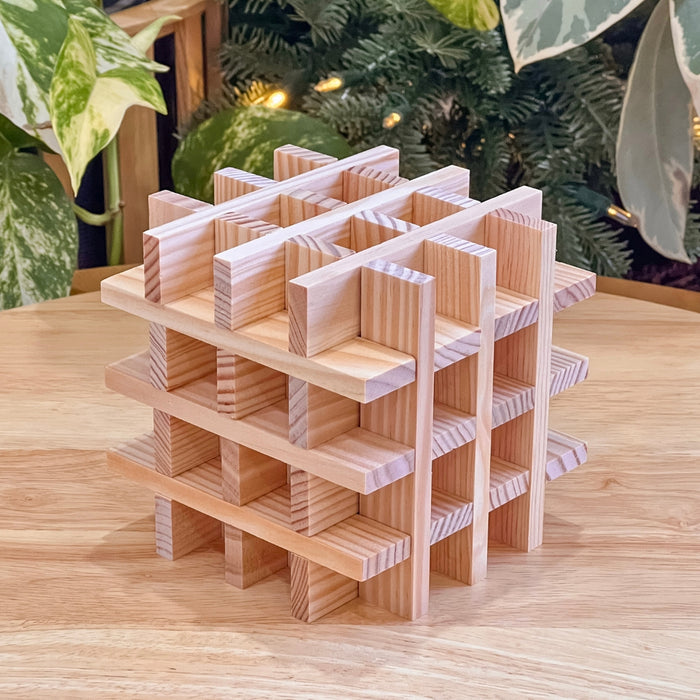 KAPLA Blocks Building Planks 100 Natural Set Wooden Case from Australia