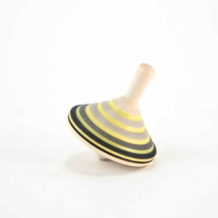 CT310 Mader Grey Prince Spinning Top