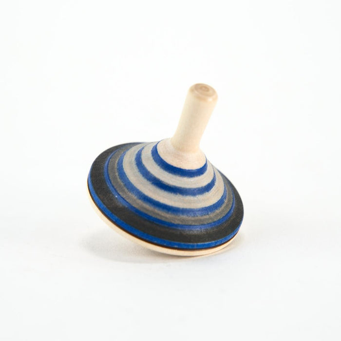 CT310 Mader Grey Prince Spinning Top