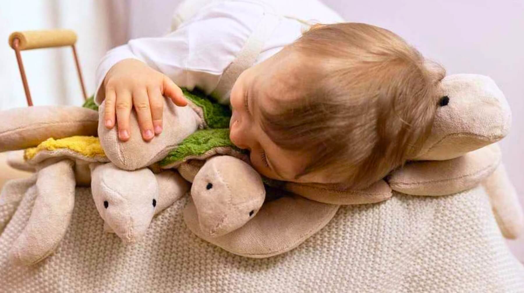 Cuddles with NEW SENGER Turtles at Wooden Playroom in Australia