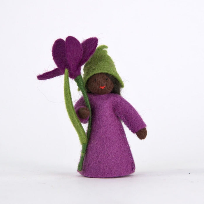    amb-crocus-DS Ambrosius Flower Fairy Crocus (2023)