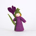 amb-crocus-FS Ambrosius Flower Fairy Crocus (2023)