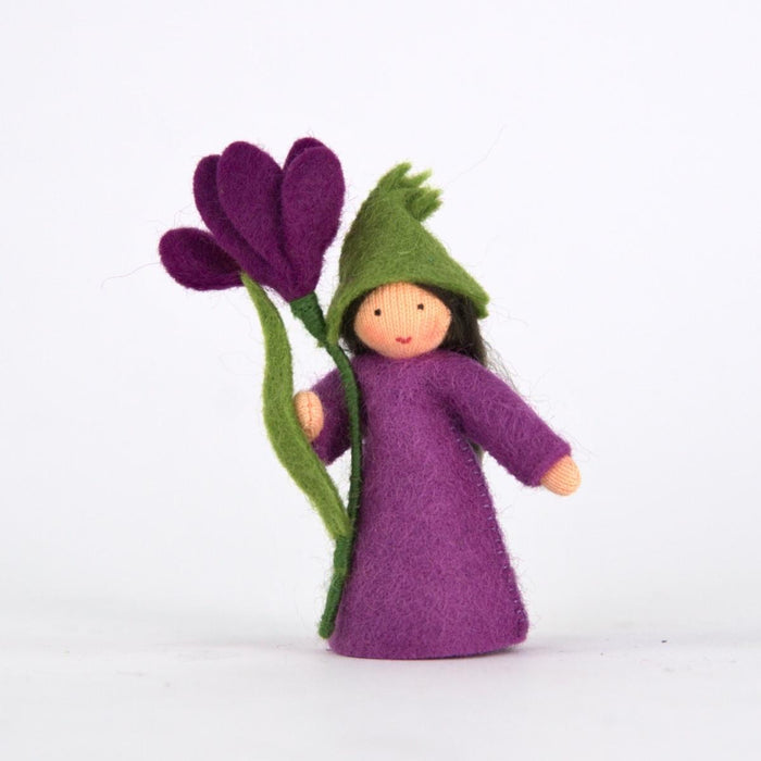 amb-crocus-MS Ambrosius Flower Fairy Crocus (2023)