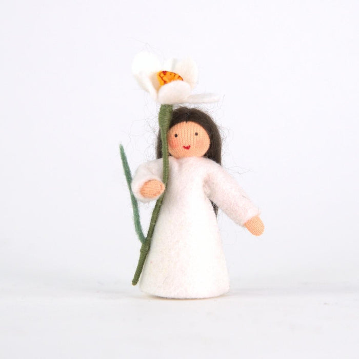 amb-daffodil-BS Ambrosius Flower Fairy White Daffodil (2023)