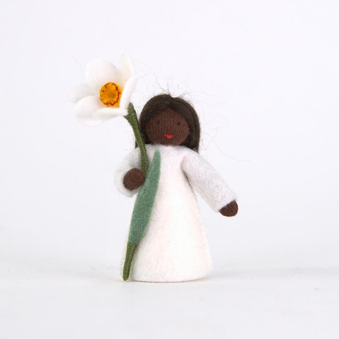 amb-daffodil-DS Ambrosius Flower Fairy White Daffodil (2023)