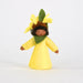    amb-laburnum-MS Ambrosius Flower Fairy Laburnum (2023)