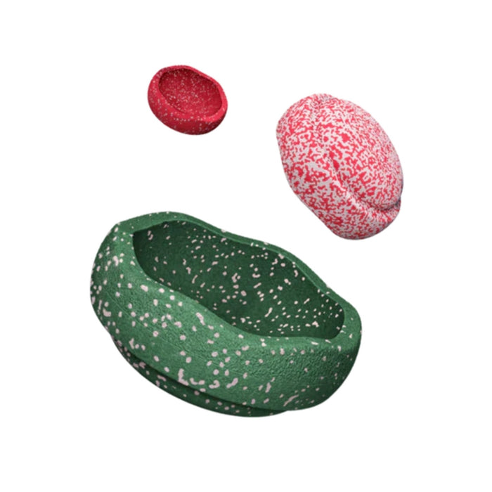 CHRISTMAS PROMO - Trilogy - Mini + Grow XL + FREE Original Limited Edition Red & Blush Stepping Stone, Australia