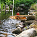 Kraul Water Turbine Wooden Toy from Australia