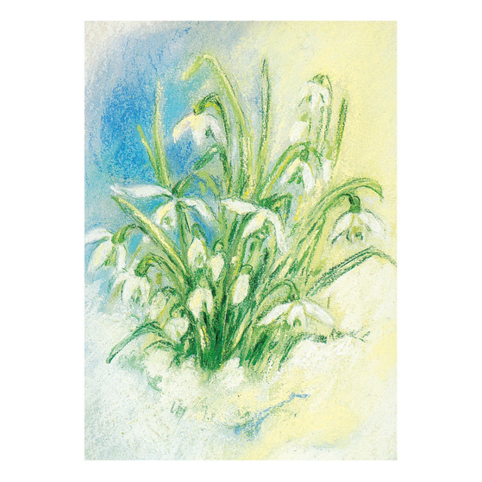95254308 Postcards - Snowdrops, pack of 5 cards