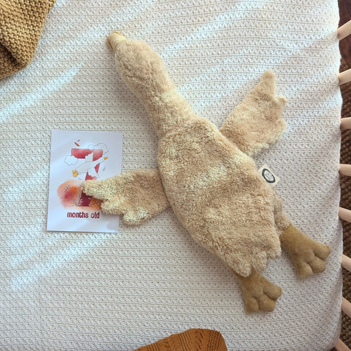 SENGER Cuddly Animal - Small Goose - Linen - Removable Heat/Cool Pack - Natural Organic Soft Toy - Online, Australia