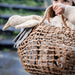 SENGER Cuddly Animal - Small Goose - Linen - Removable Heat/Cool Pack - Natural Organic Soft Toy - Online, Australia