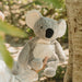 SENGER Cuddly Animal - Koala - Australian Exclusive - Removable Heat/Cool Pack - Online, Australia