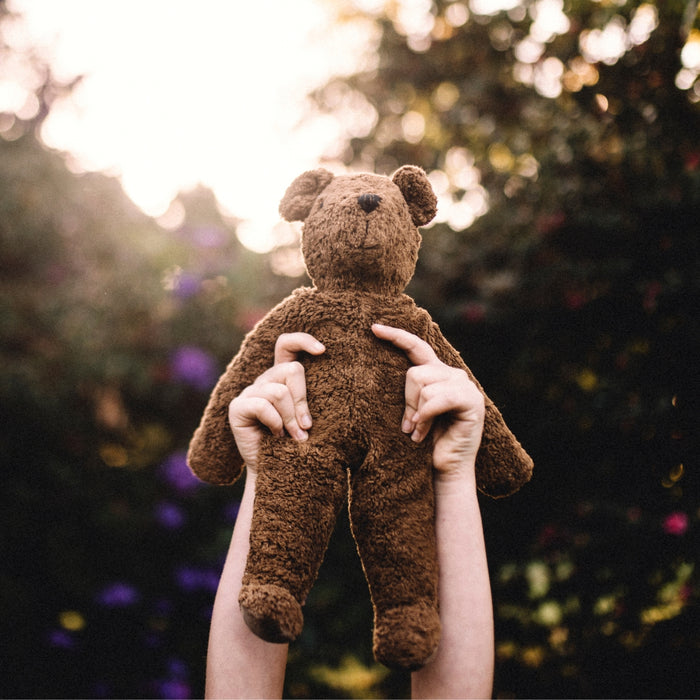 SENGER Floppy Animal - Bear Large Brown from Australia