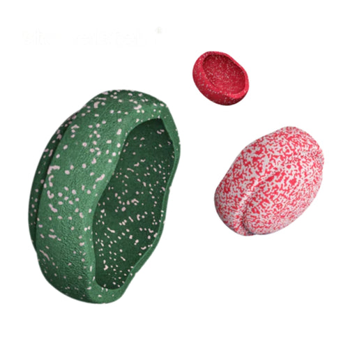 Special Edition Stepping Stone Bundles, Australia