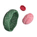 Special Edition Stepping Stone Bundles, Australia