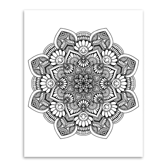 URSUS Paper Crafts Picture Art Kit Mandala Scratch Colouring, Set of 12 Dragons & Dinos from Australia
