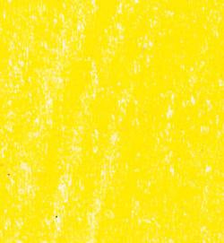 20536105 Lyra Rembrandt Polycolour- box 12 Lemon Cadmium