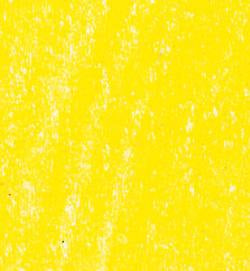 20536105 Lyra Rembrandt Polycolour- box 12 Lemon Cadmium