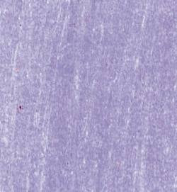 20536139 Lyra Rembrandt Polycolour- box 12 Light Violet