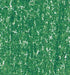 20536167 Lyra Rembrandt Polycolour- box 12 Sap Green