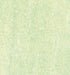 20536171 Lyra Rembrandt Polycolour- box 12 Light Green