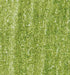 20536174- Lyra Rembrandt Polycolour- box 12 Cedar Green