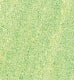 20540371 Lyra colour giants unlacquered single colour - box 12 Lum Green