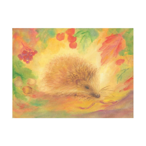 95254426 Postcards - Hedgehog, 5pk