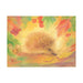95254426 Postcards - Hedgehog, 5pk