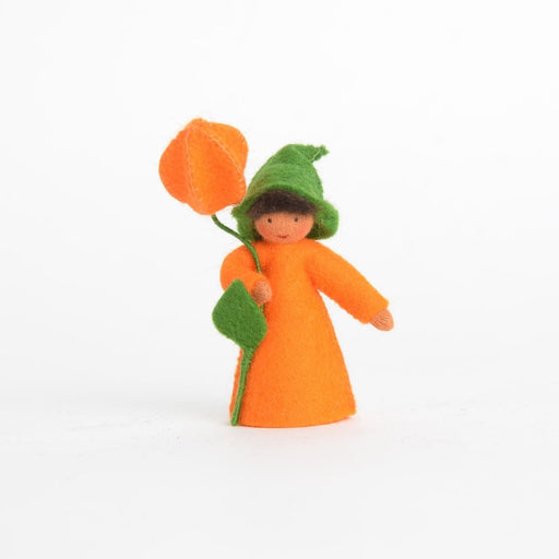Ambrosius Flower Fairy Lantern Boy Medium