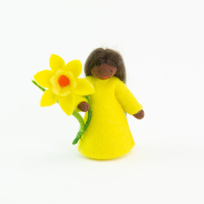 amb-sp-daf-dark Ambrosius Flower Fairy Daffodil (2021)