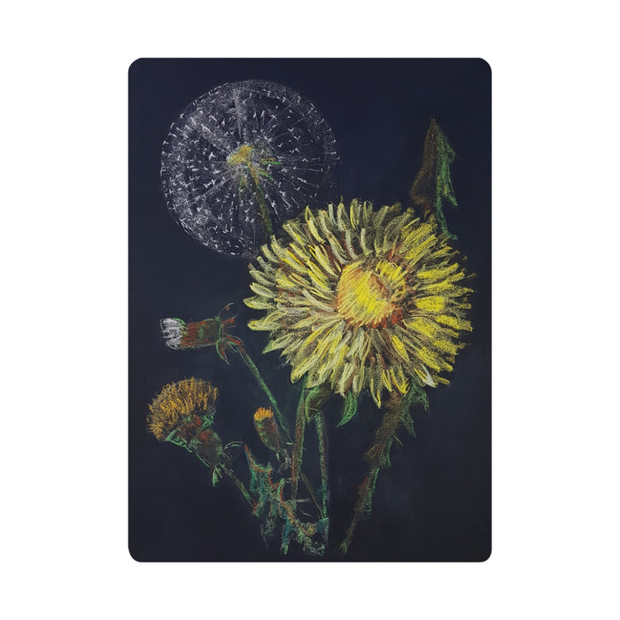 95502004 Chalkboard Art Cards - Dandelion, 5 pk