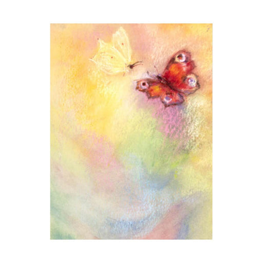 95254416 Postcards- Butterfly World 5 pk