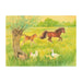 95254466 Postcards - Frisky Foal in the Meadow 5 pk