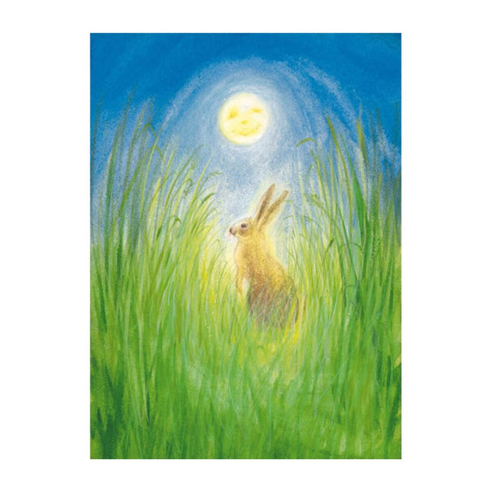 95254342 Postcards - Hare and Moon 5 pk