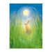 95254342 Postcards - Hare and Moon 5 pk