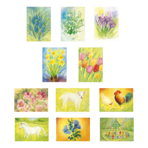 95305031 Postcards "Spring / Summer Set 1" assorted pk of 11 by Marjan van Zeyl