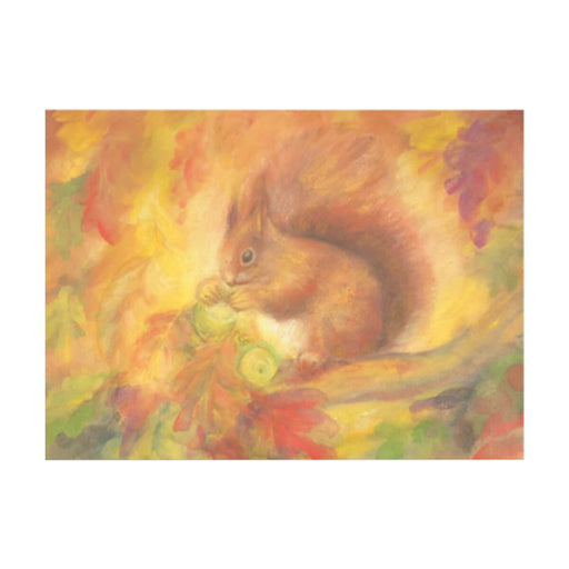 95254425 Postcards - Squirrel 5 pk