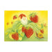 95254412 Postcards- Summer Snail 5 pk